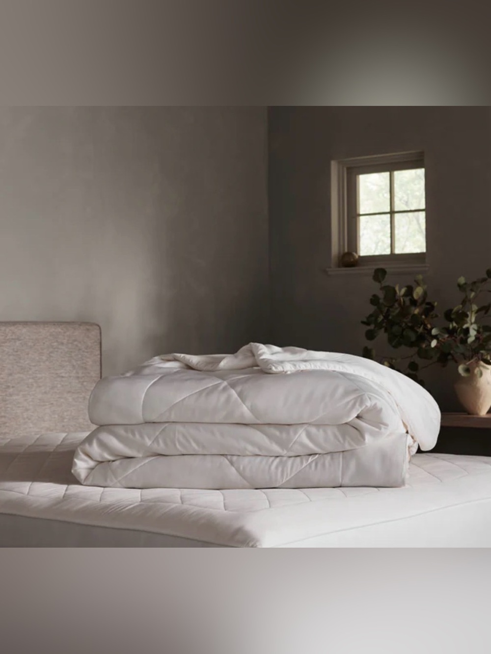 Cozy Earth All Season Bamboo Comforter King/Cali King